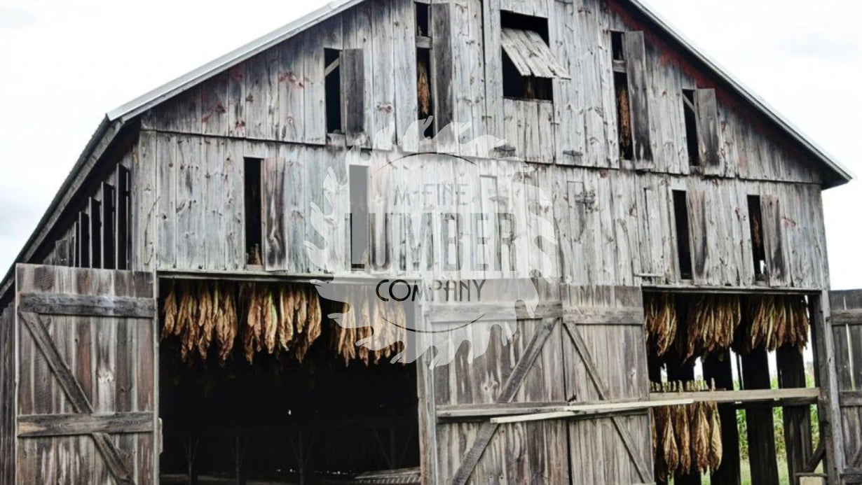 tobacco barn guin al The Rich History of Tobacco Barns and Their Salvaged Wood – M. Fine Lumber